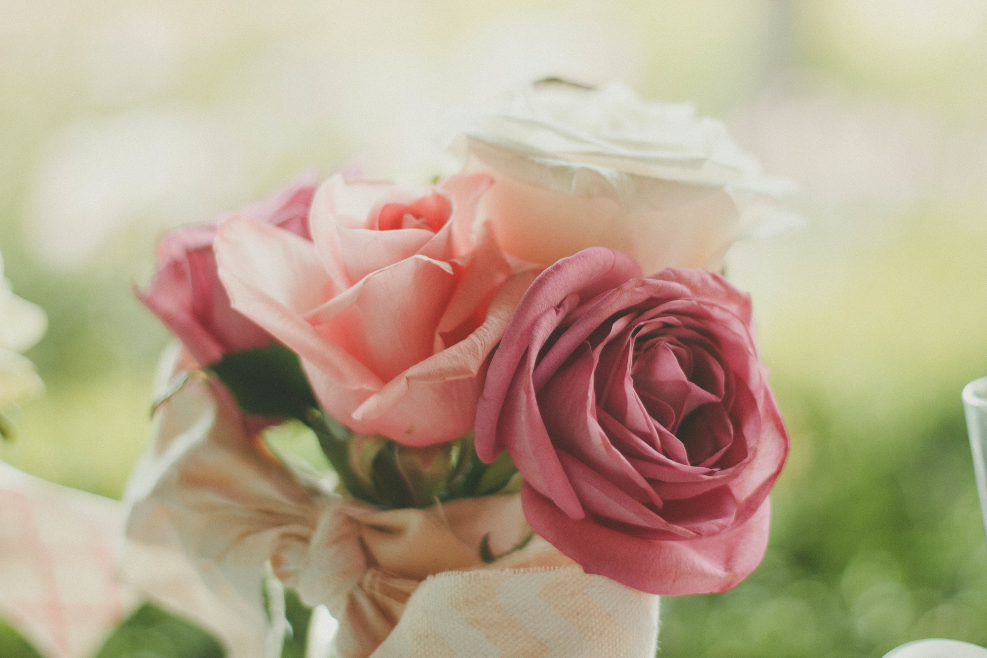 Roses at a Signature Dance Company event