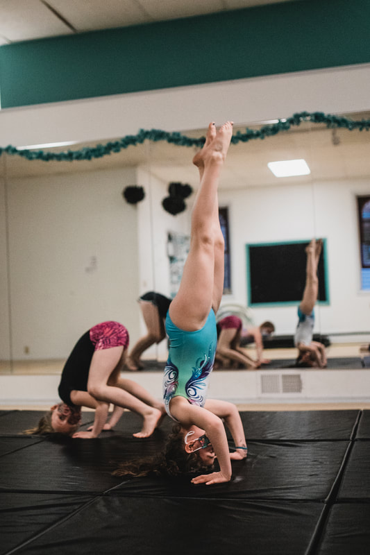 Signature Dance Company dancers